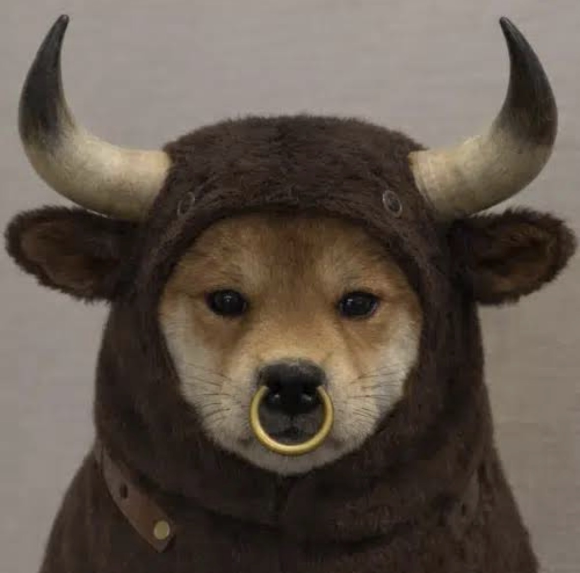 The Bull